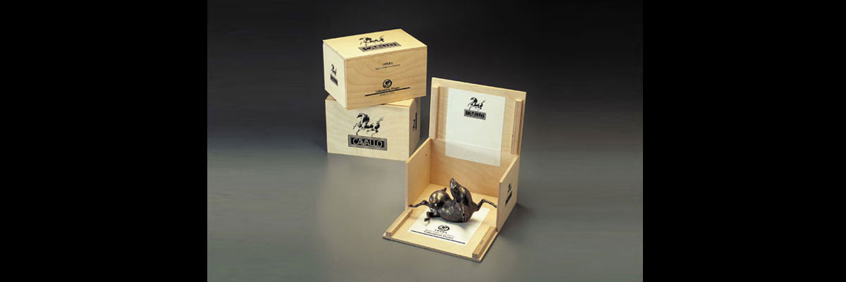 Pakaging, Laboratorio Pesaro