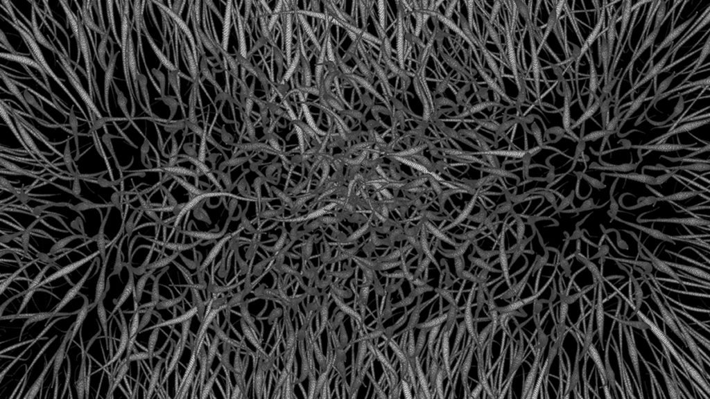 RECESSIONE-arte generativa-frame